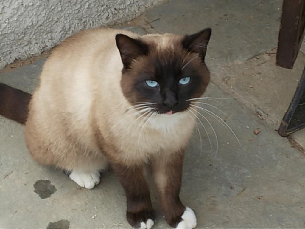 מליאנו אין טוסקנה Agriturismo Vigna Mai מראה חיצוני תמונה