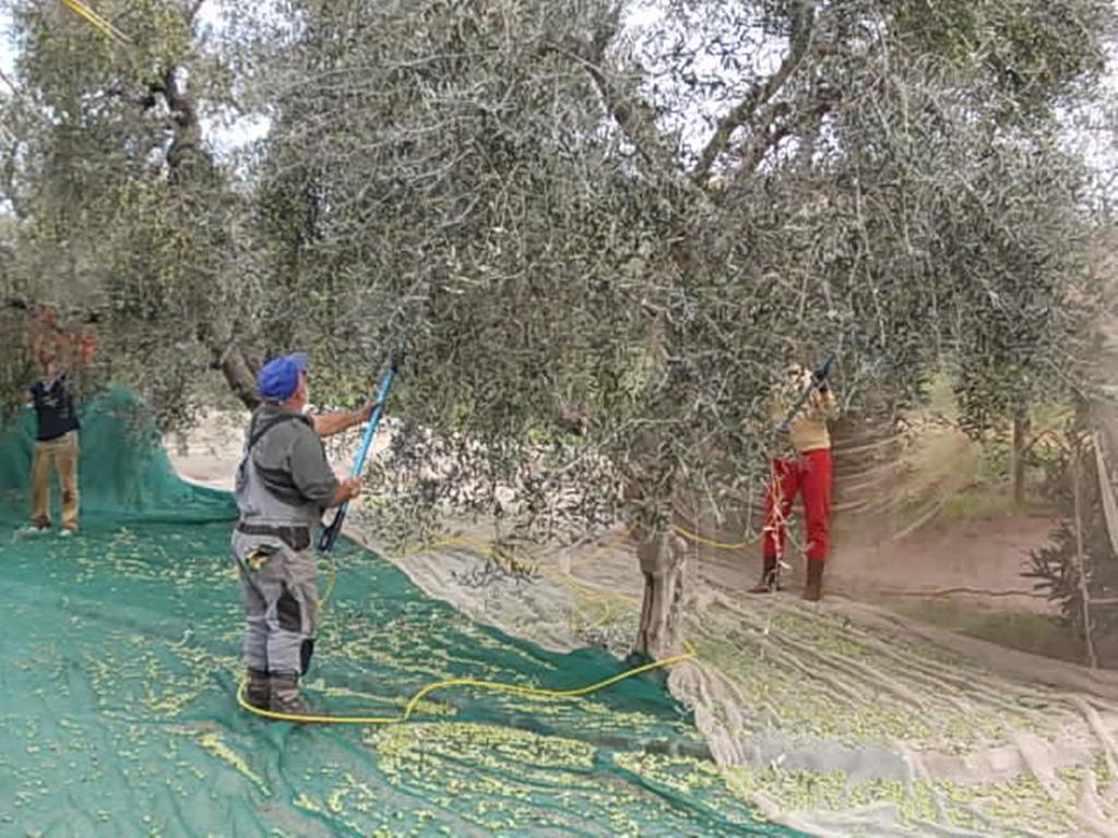 מליאנו אין טוסקנה Agriturismo Vigna Mai מראה חיצוני תמונה